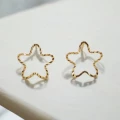 Brinco Estrela Vazada